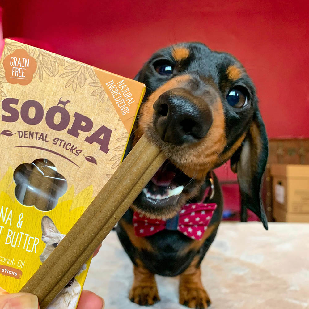 Soopa dental sticks - vegetariska tuggpinnar - 2