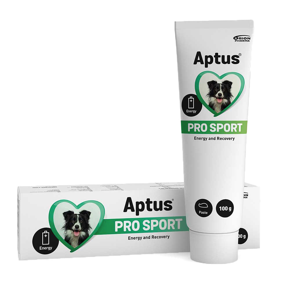 Aptus Pro sport - recovery paste for dogs