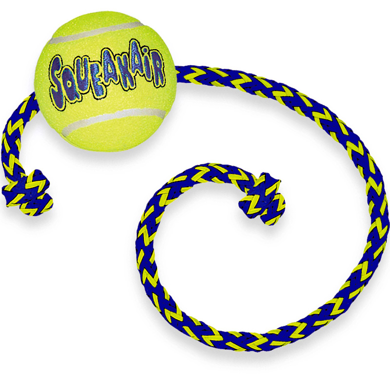 Kong small tennis ball for dog games