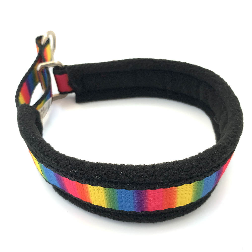 Alac nome collar - rainbow colored