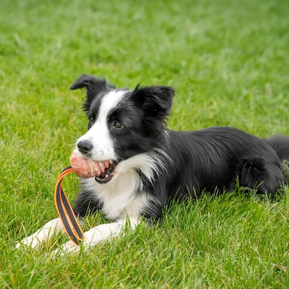 Julius K9 Duoplay ball - 2