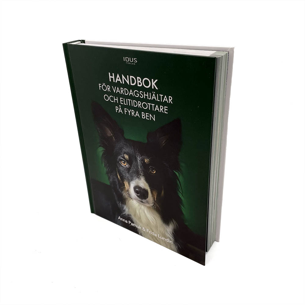 Handbok för vardagshjältar och elitidrottare på fyra ben hundbok 