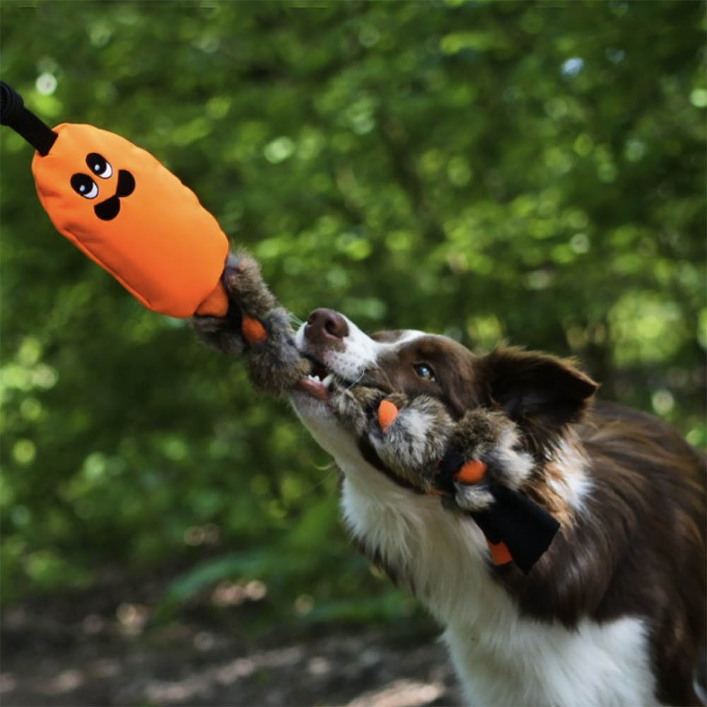 Tug-of-war rat - 7