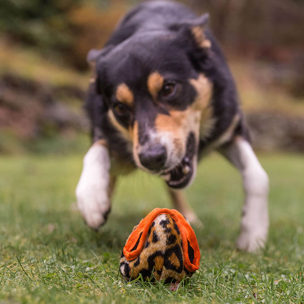 Treat ball from Doggie-Zen for dog training