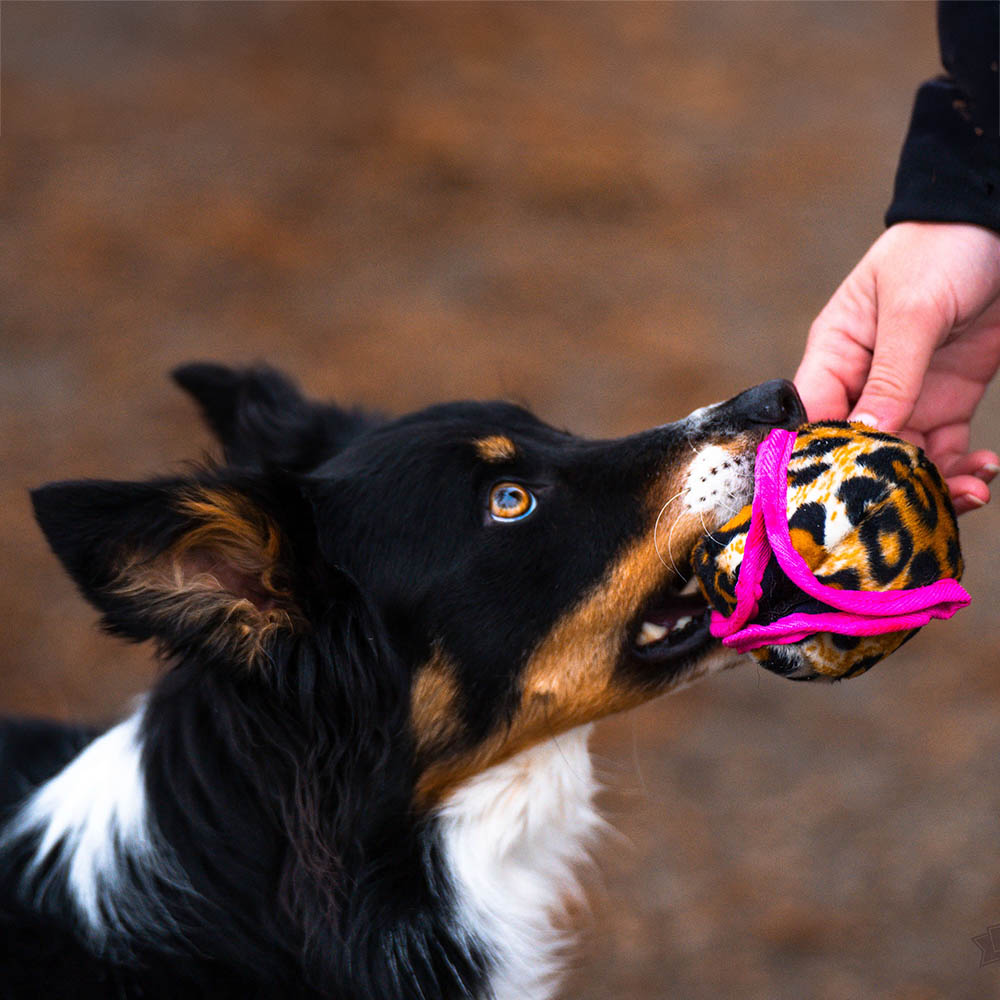 Doggie-Zen treat ball for dog - 4