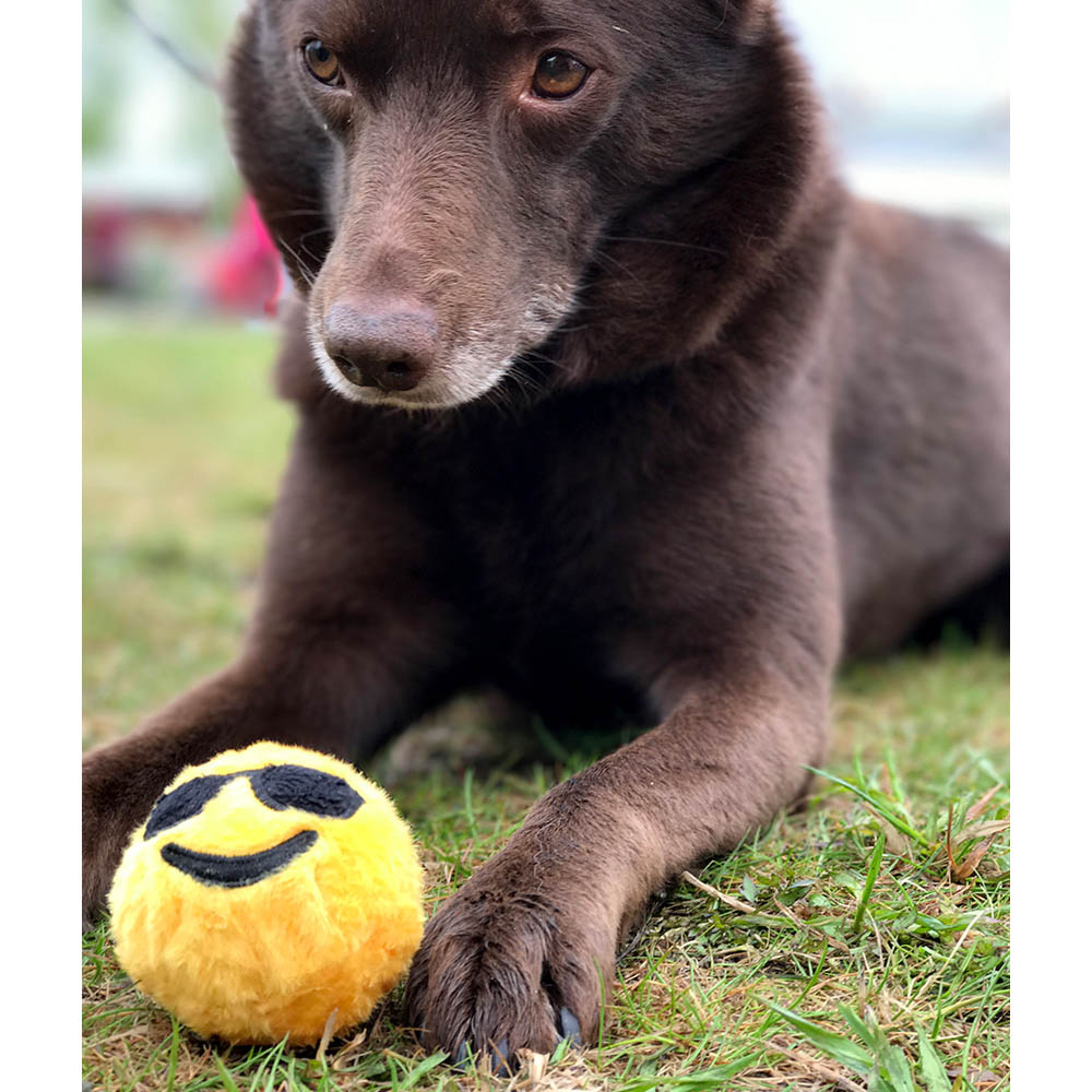 Fab dog emoji
