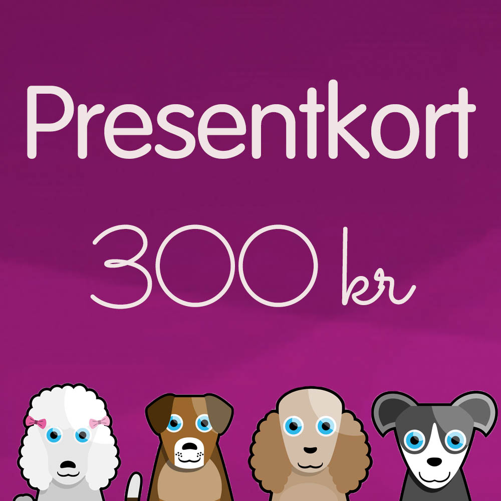 Gift card - SEK 300