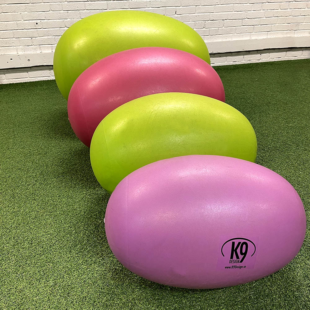Balance ball egg ball for dog