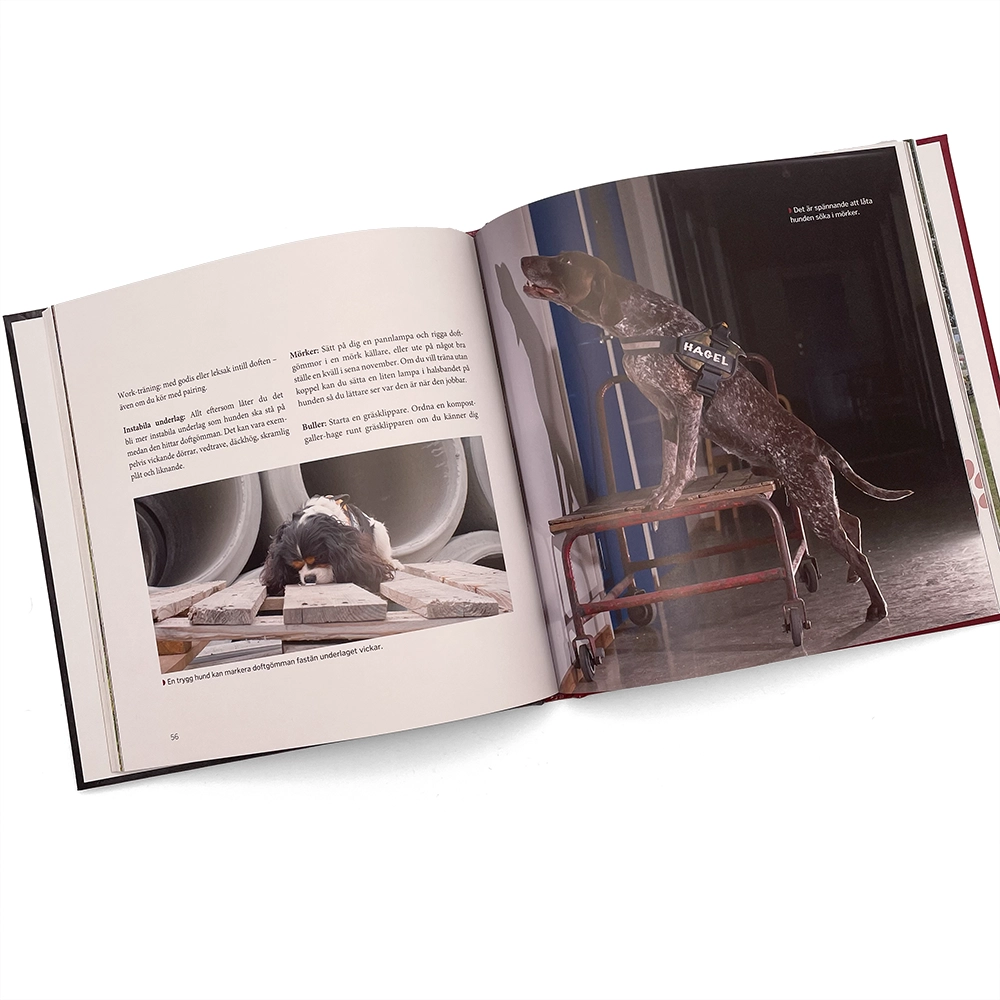 Nose work book in Swedish