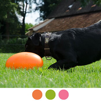 Dog Comets Pan-star hundleksak hård avlång boll påskägg