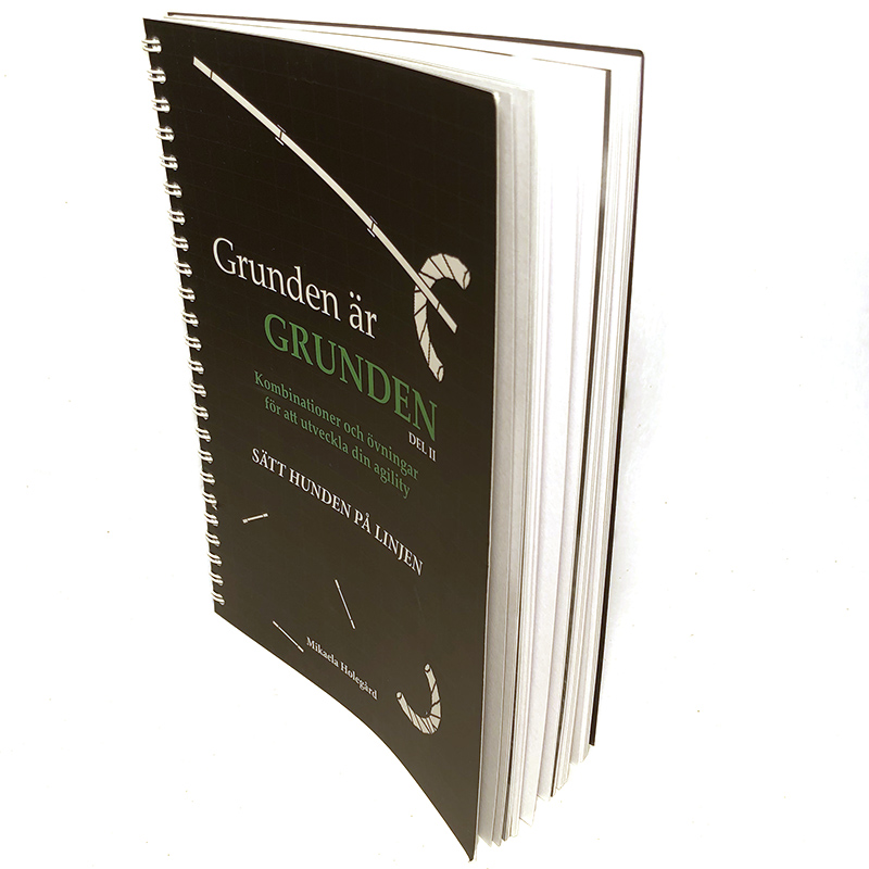 Book The foundation is the foundation 2