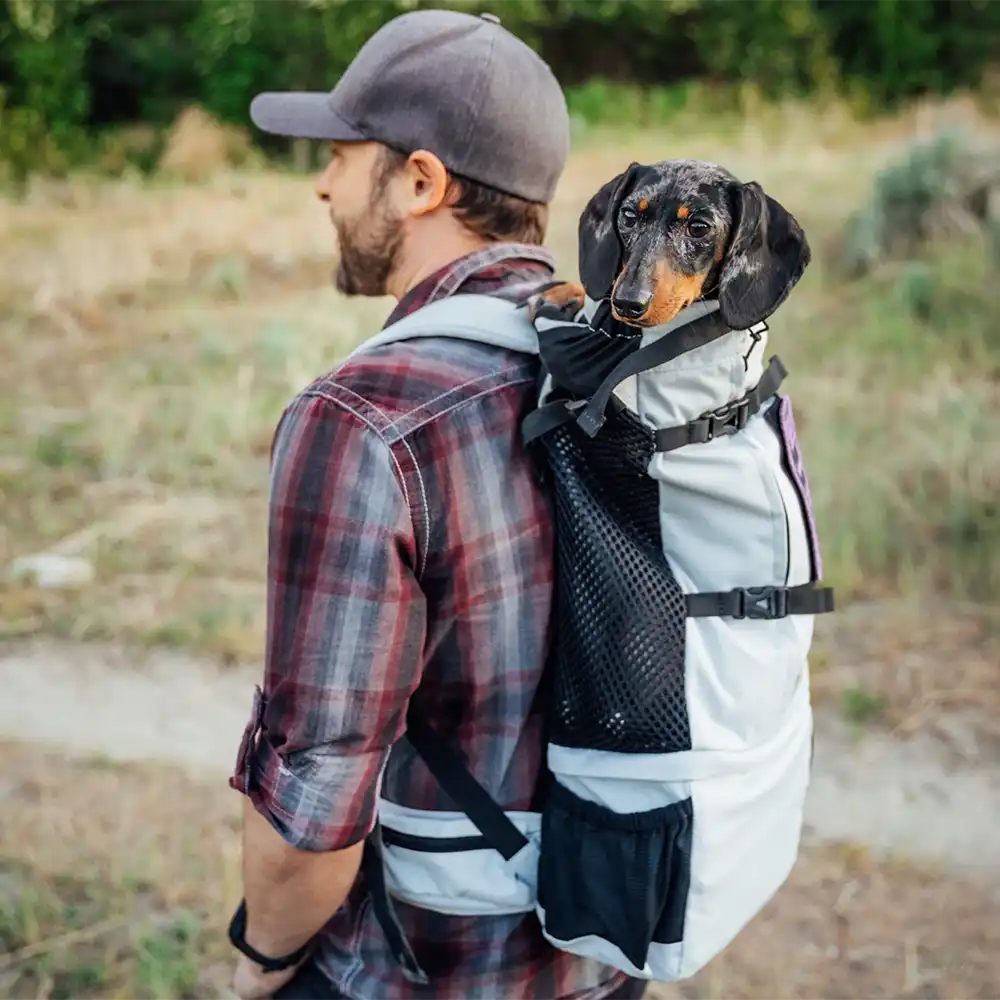 K9 sport sack knavigate carry dog in a back pack