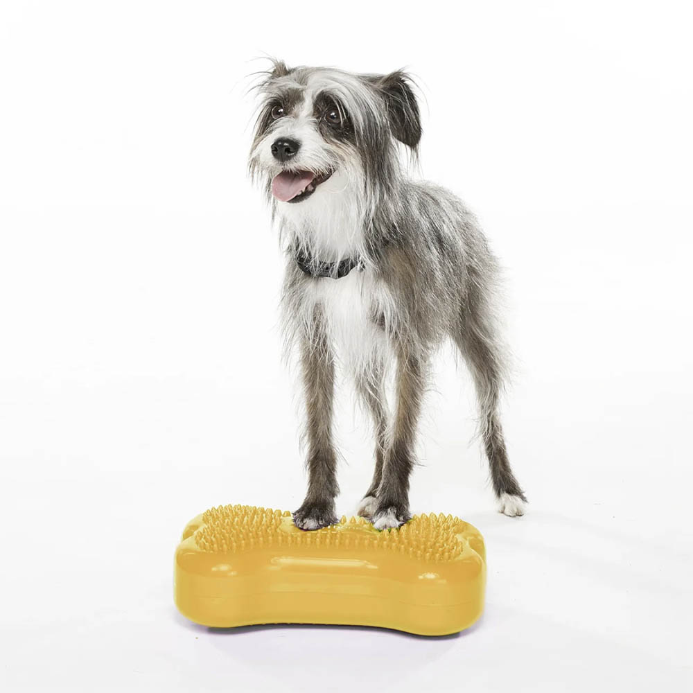 FitPAWS K9 Fitbone mini 2 pcs - 3