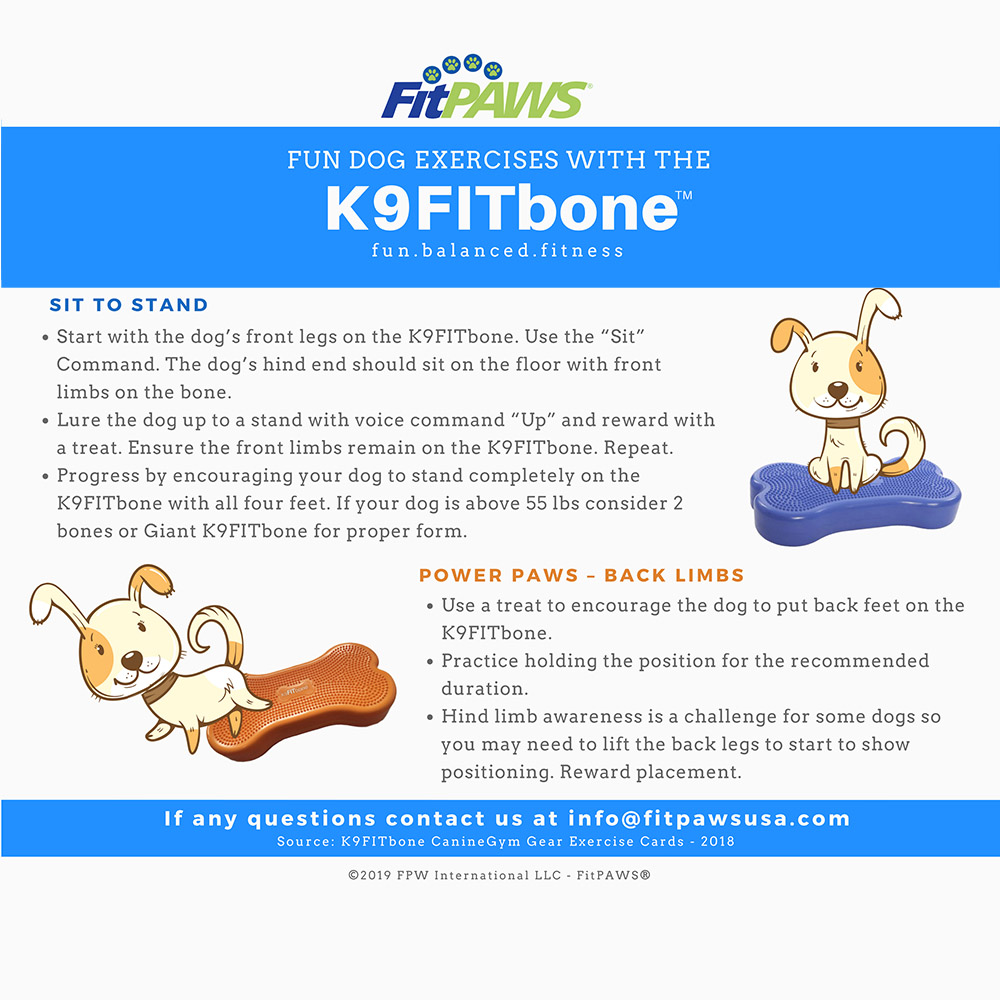 FitPAWS K9 Fitbone mini | 2 pcs balance ball dog