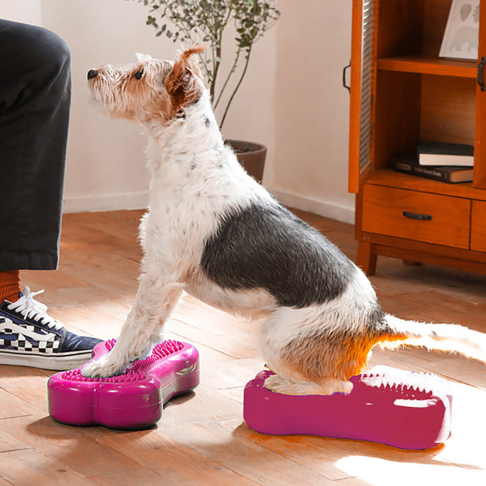 FitPAWS K9 Fitbone mini 2 pcs - 7