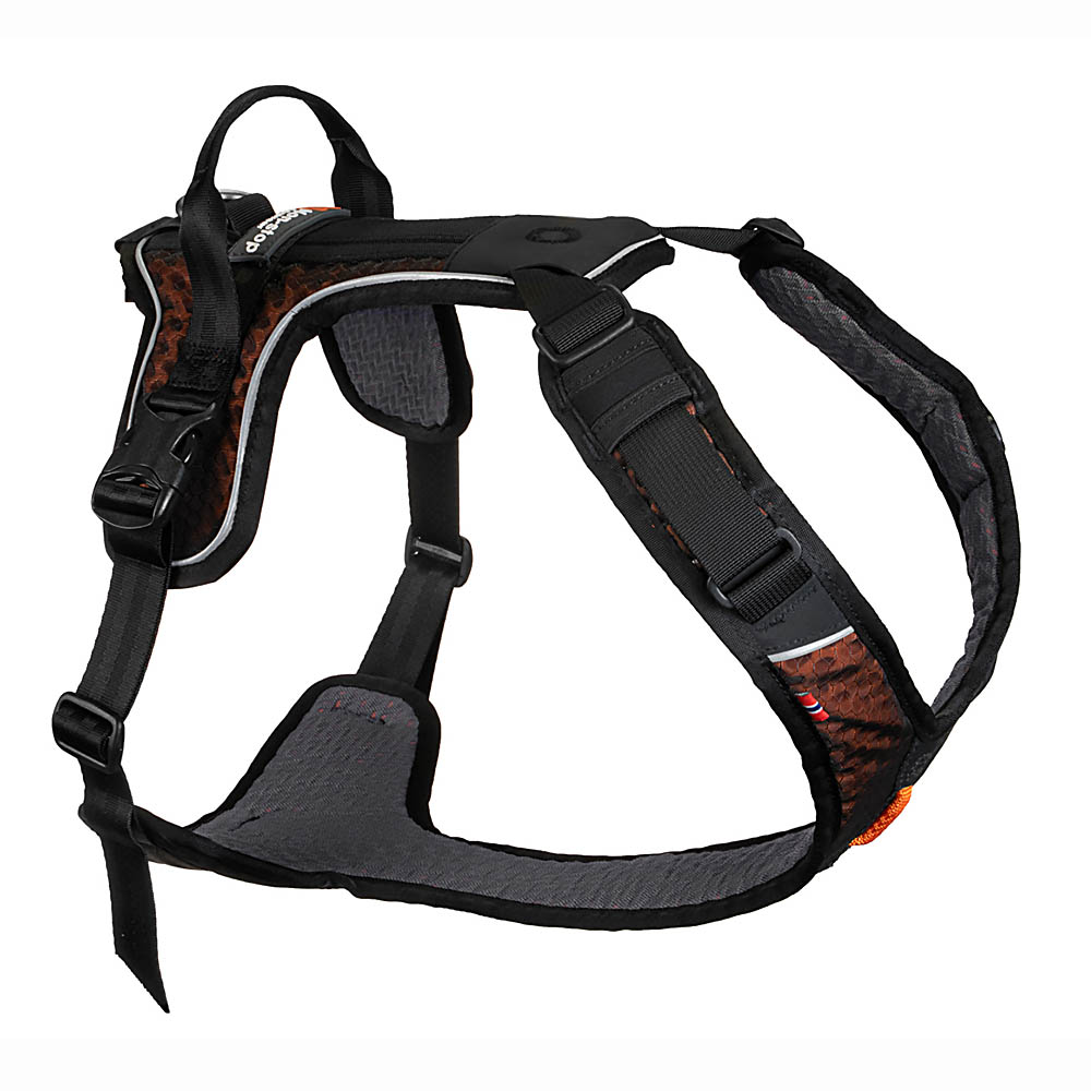 Non-Stop Rock harness every day dog harness