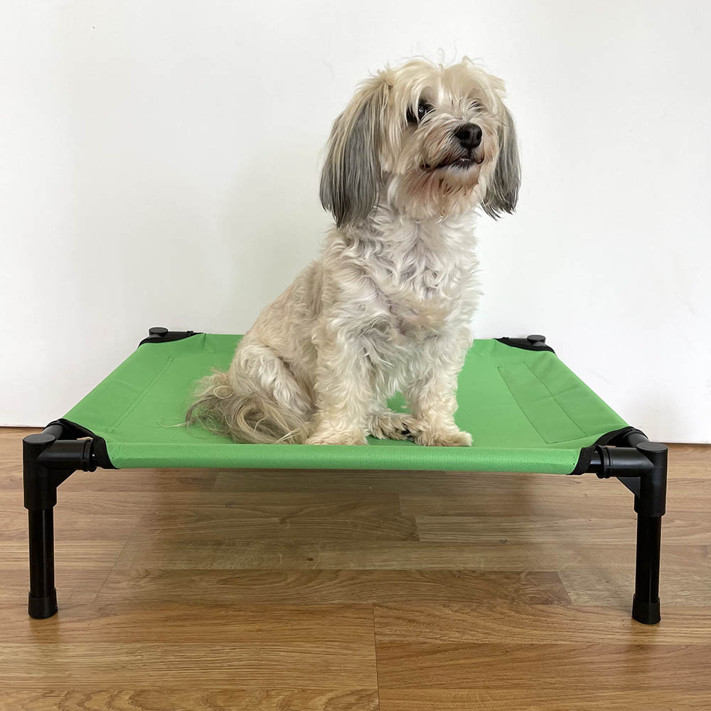 Coating to the raised dog bed - small - 2