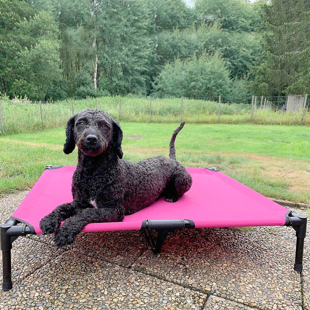 Coating to the raised dog bed - small - 3