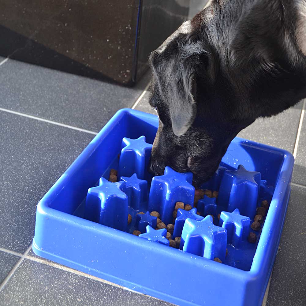 Äta sakta matskål till hund matberikning