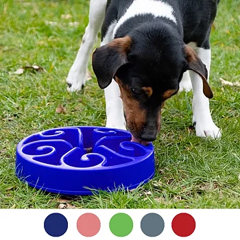 Äta sakta matskål slow bowl till hund slow feeder