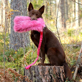 Doggie-Zen dog toy bottle