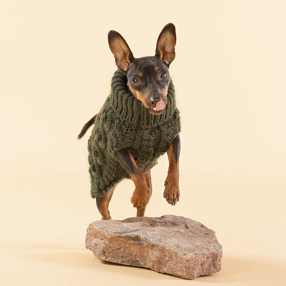 PAIKKA knit sweater for dog
