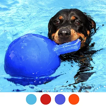 Jolly pets tug-n-toss water toy for dog