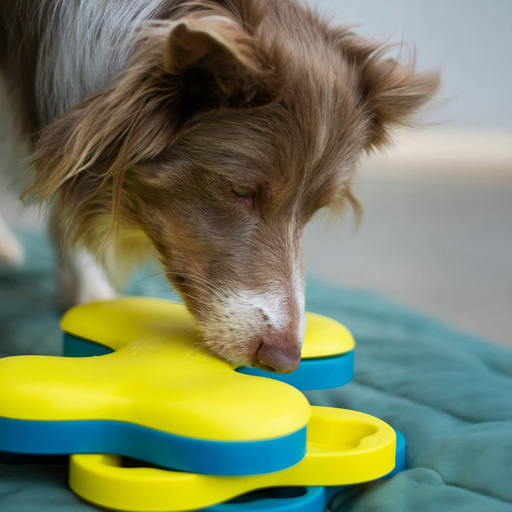 Food enrichment for dogs from Nina Ottosson