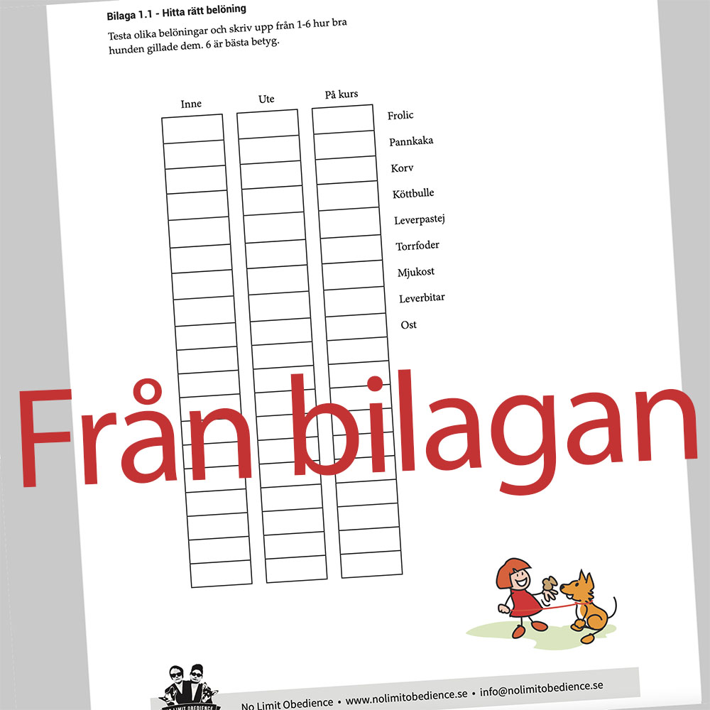 Checklista hundträning