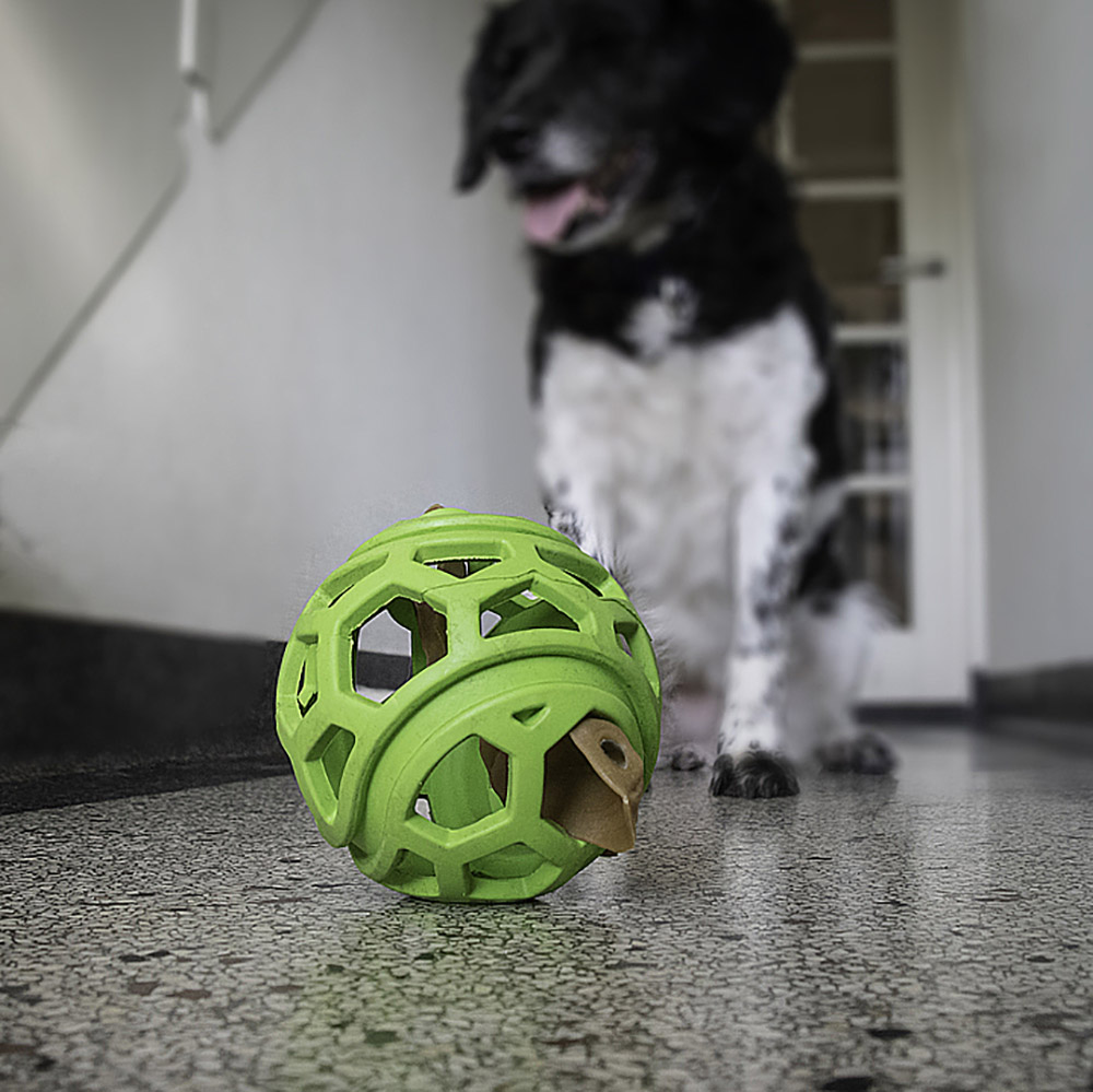 Dog Comets Titan - 5
