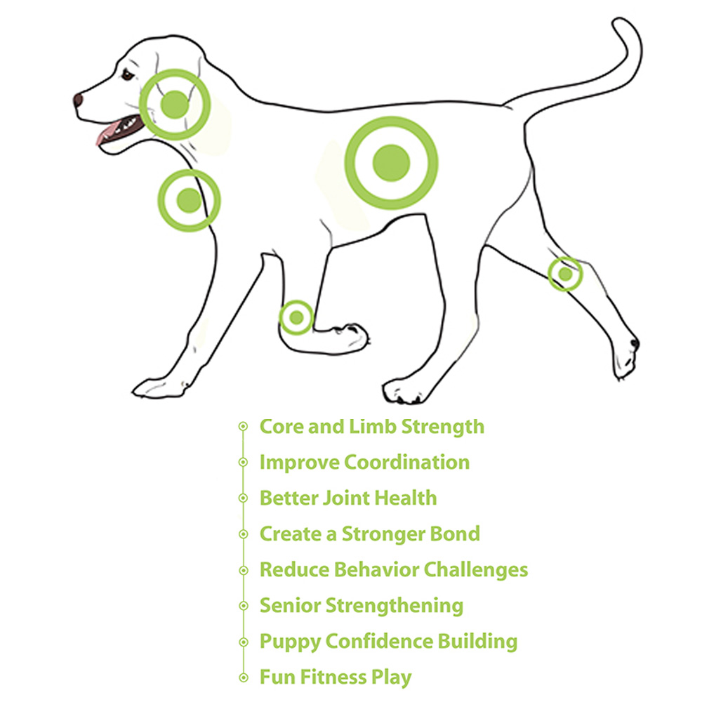 FitPAWS Trax Donut - 6