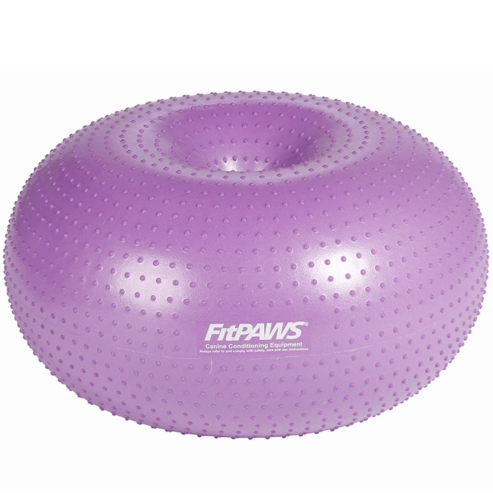 Trax Donut from FitPAWS dog training