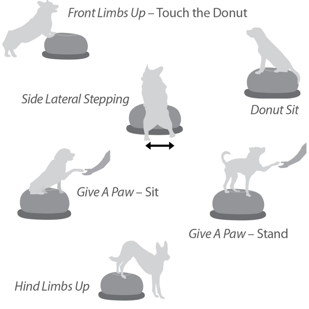 FitPAWS Trax Donut - 5