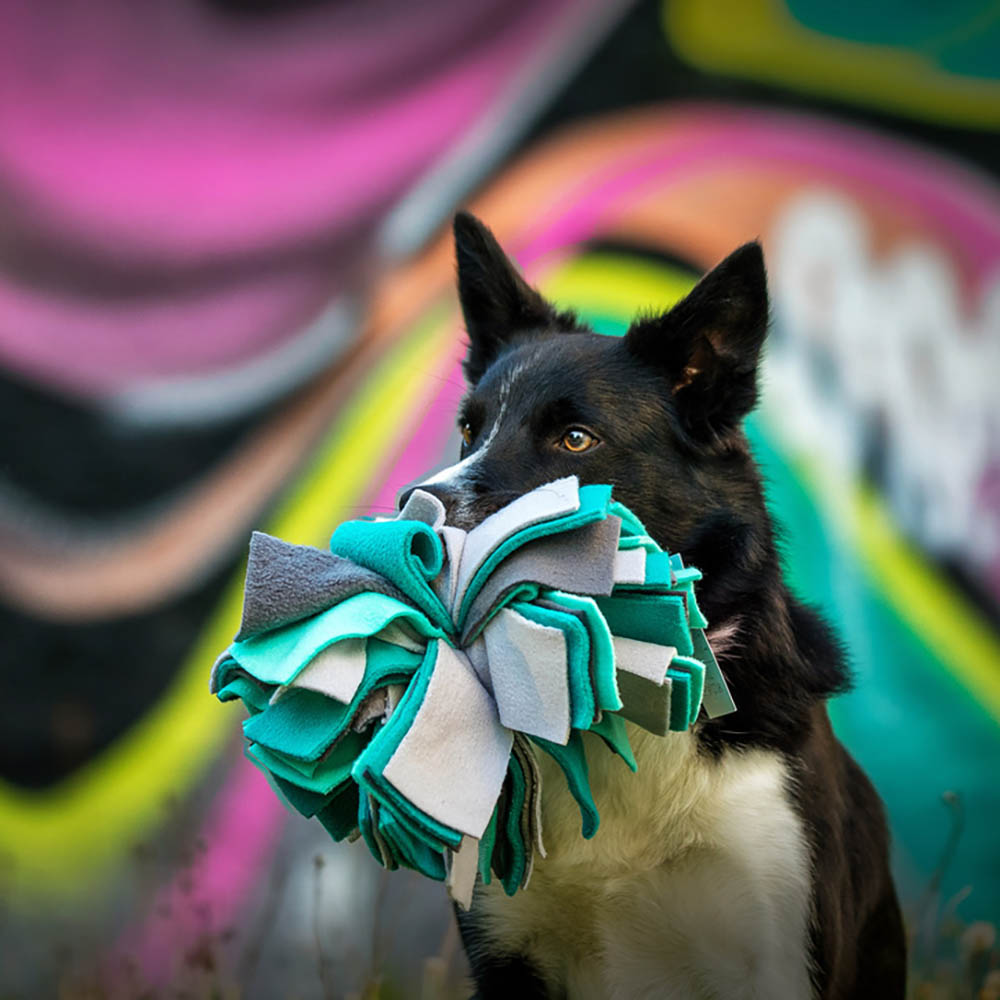 KABOO sniffing toy fleece ball for dog