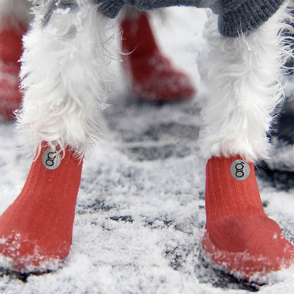 Gooeez booties Shoes for the dog