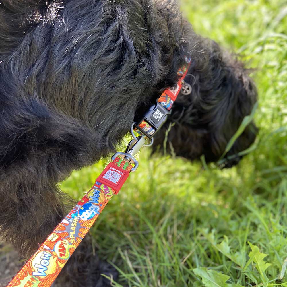 Max & Molly Short leash - Heroes - 2