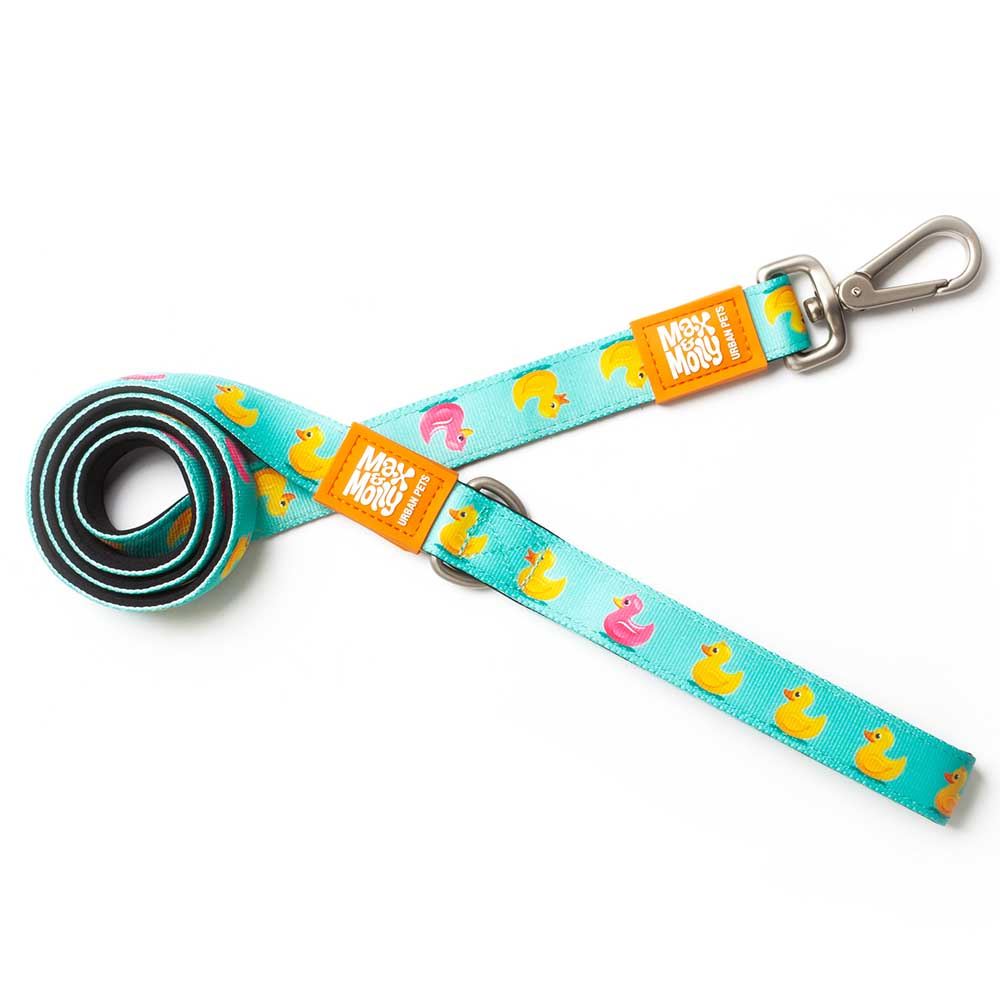 Max & Molly short leash for dogs