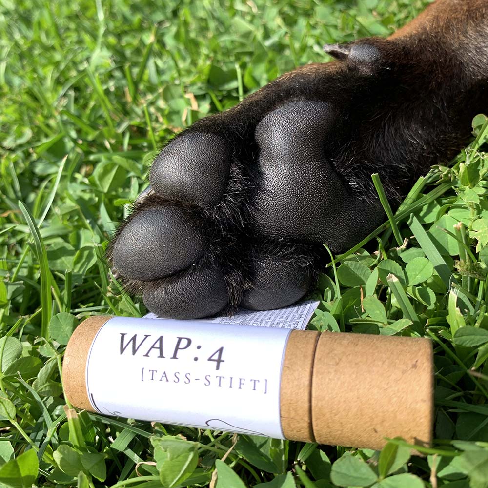 WAP: 2 Paw pin