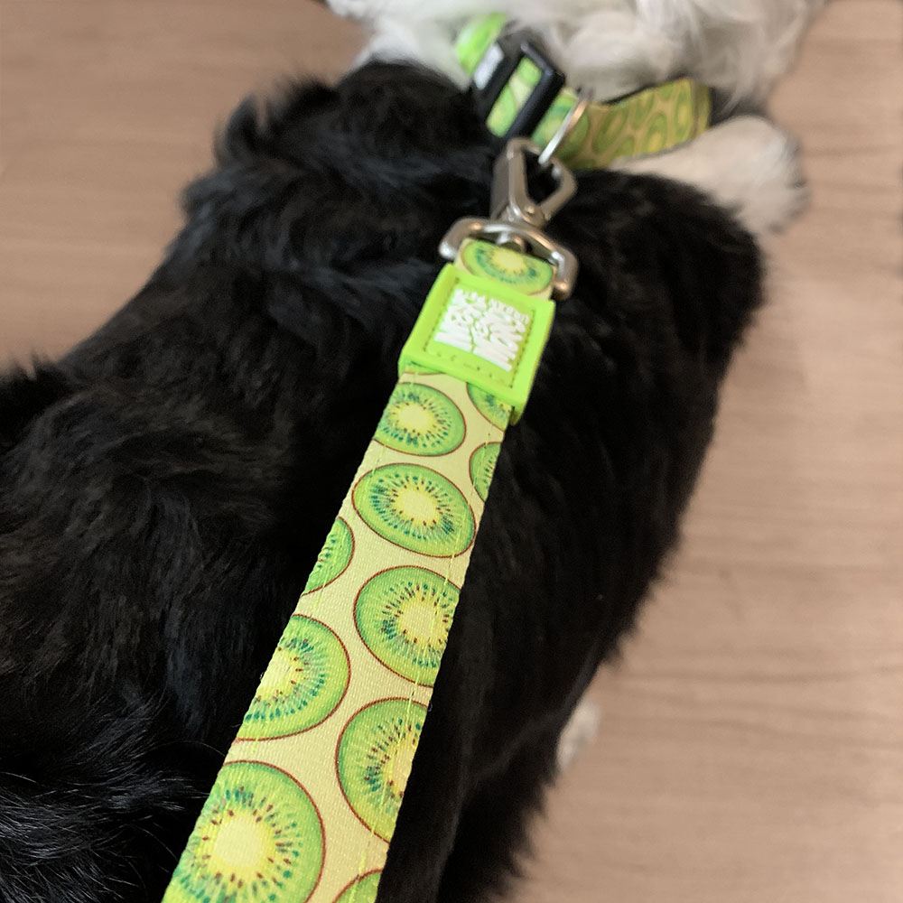 Max & Molly koppel - Kiwi - 3
