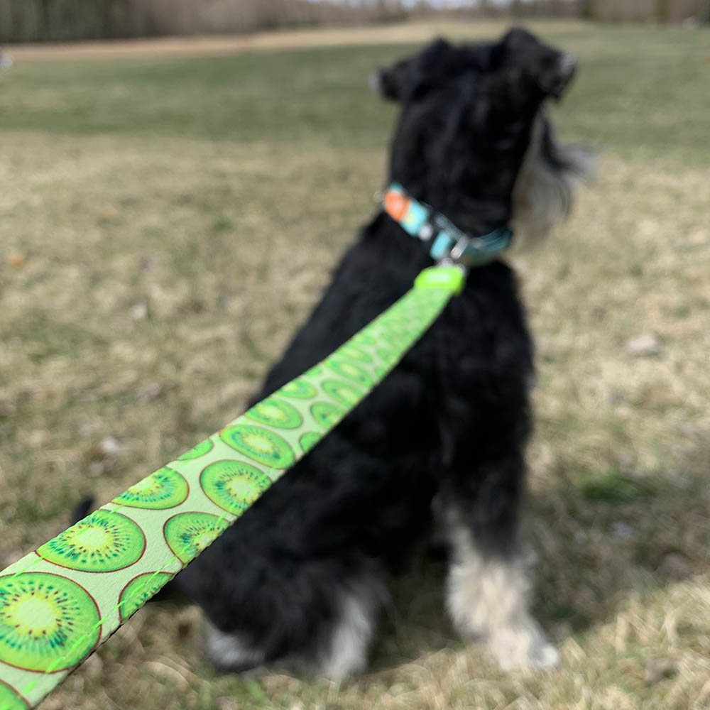 Max & Molly koppel - Kiwi - 2