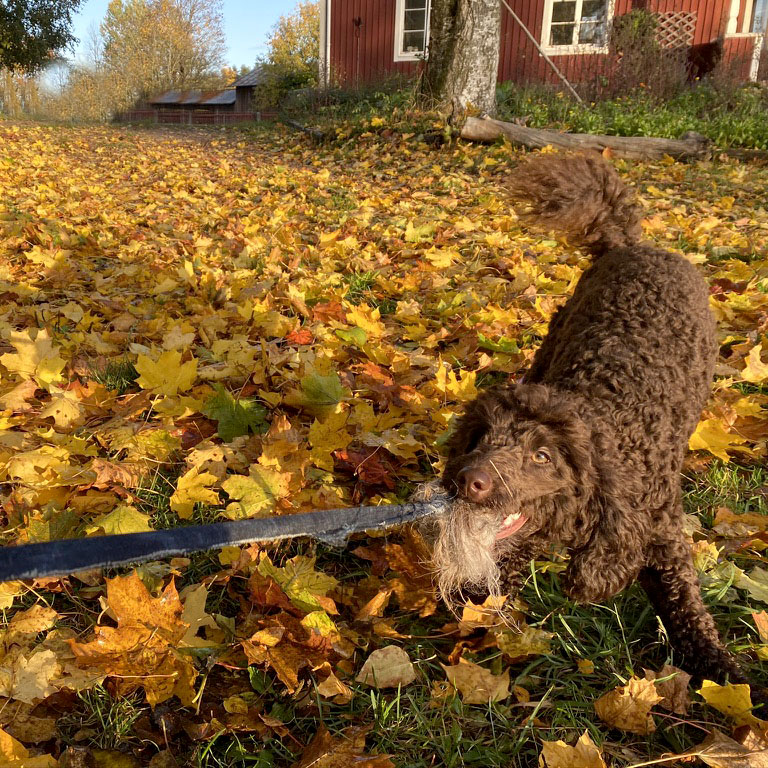 Sheep fur dog toy with a handle - 11