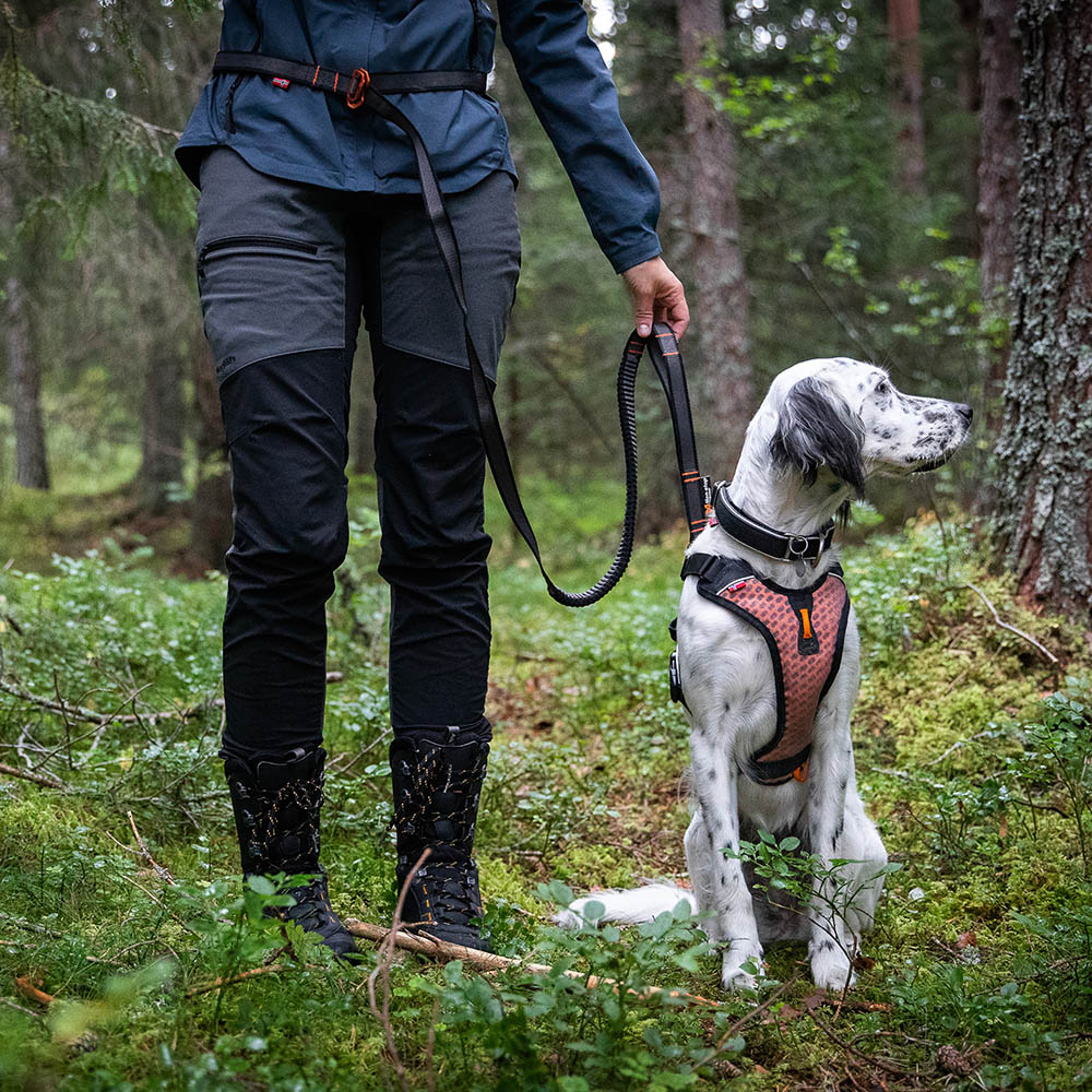 Non-Stop touring bungee adjustable leash for dogs