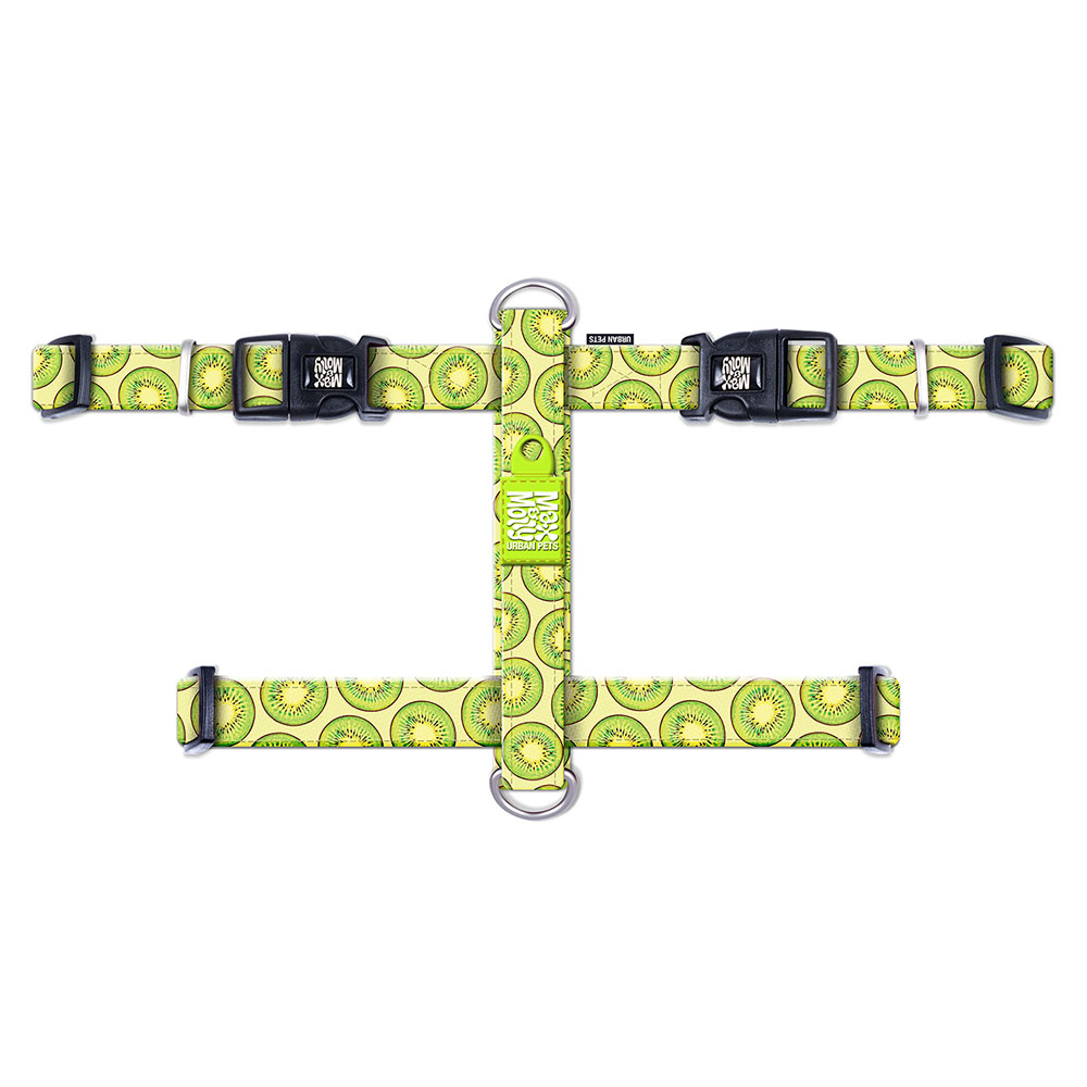 Max & Molly harness - Kiwi