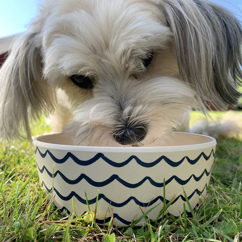 Eco friendly cat water bowl from Beco Pets