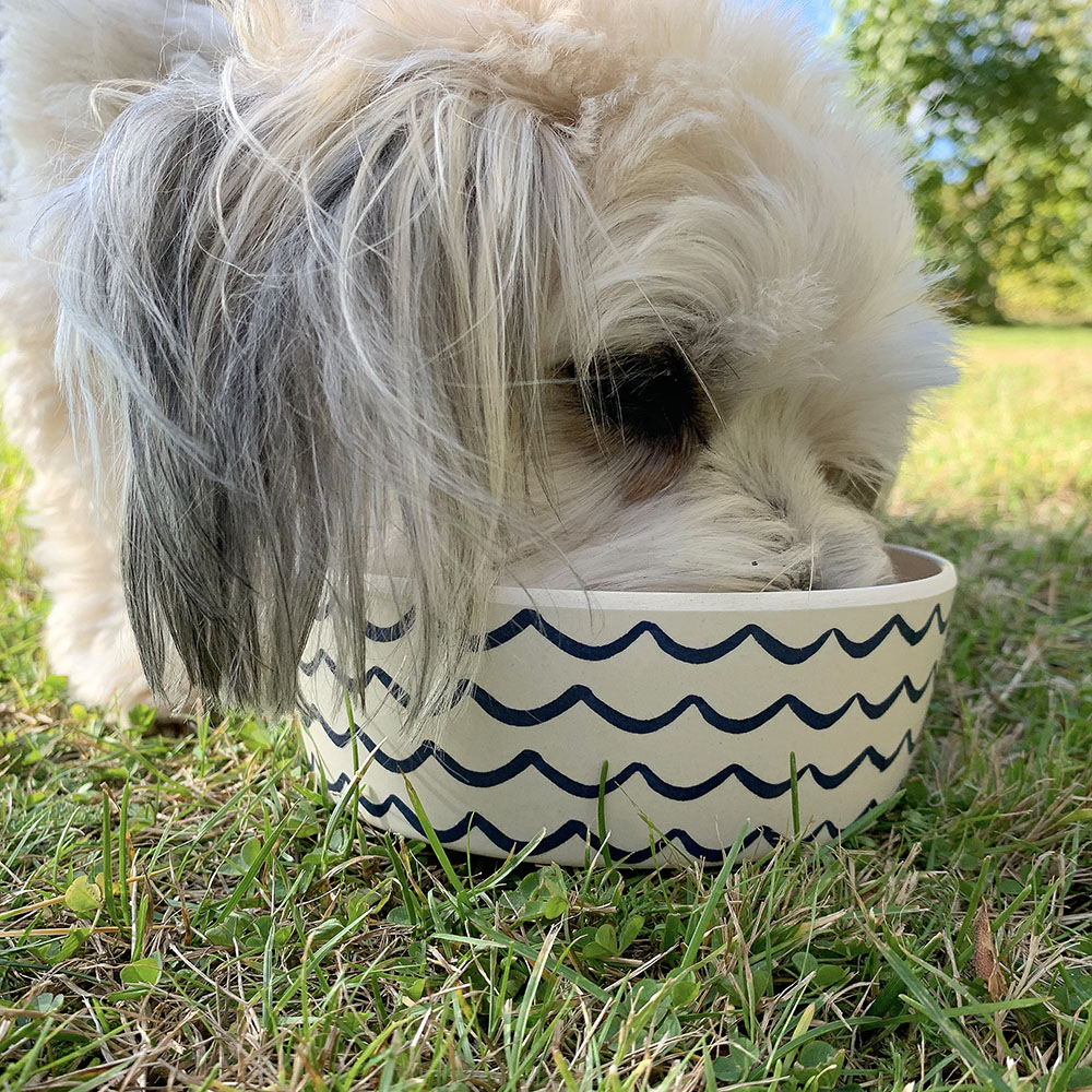 Beco bowl for pets - ocean waves - 3
