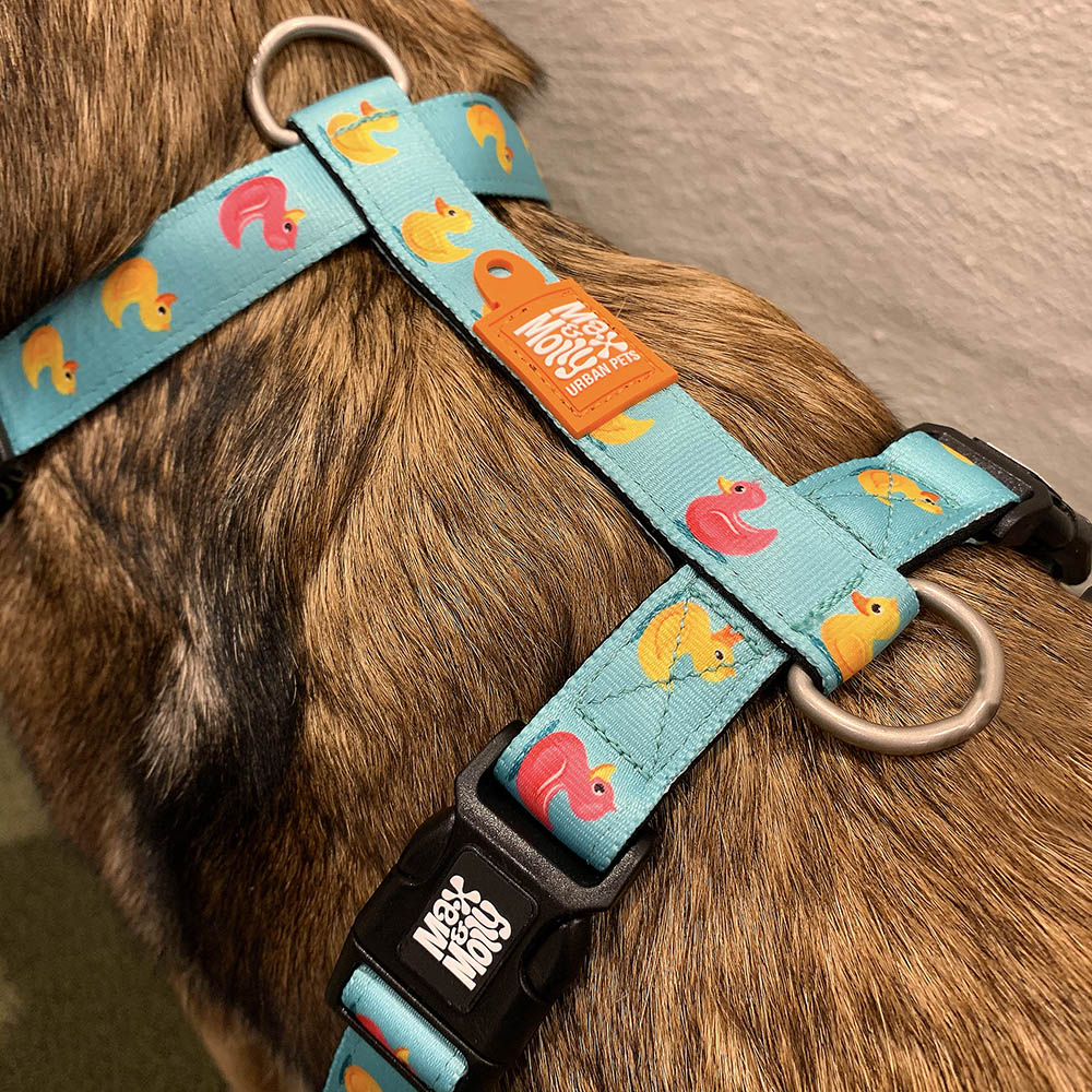 Max & Molly 4894512021037 Little Monsters hondenharnas comfortabel geurneutraal neopreen verliesbeschermingsprogramma voor huisdieren extra goed hondenharnas, M, 150 g Max & Molly 4894512021037 Little Monsters hondenharnas comfortabel geurneutraal neopreen verliesbeschermingsprogramma voor huisdieren extra goed hondenharnas, M, 150 g