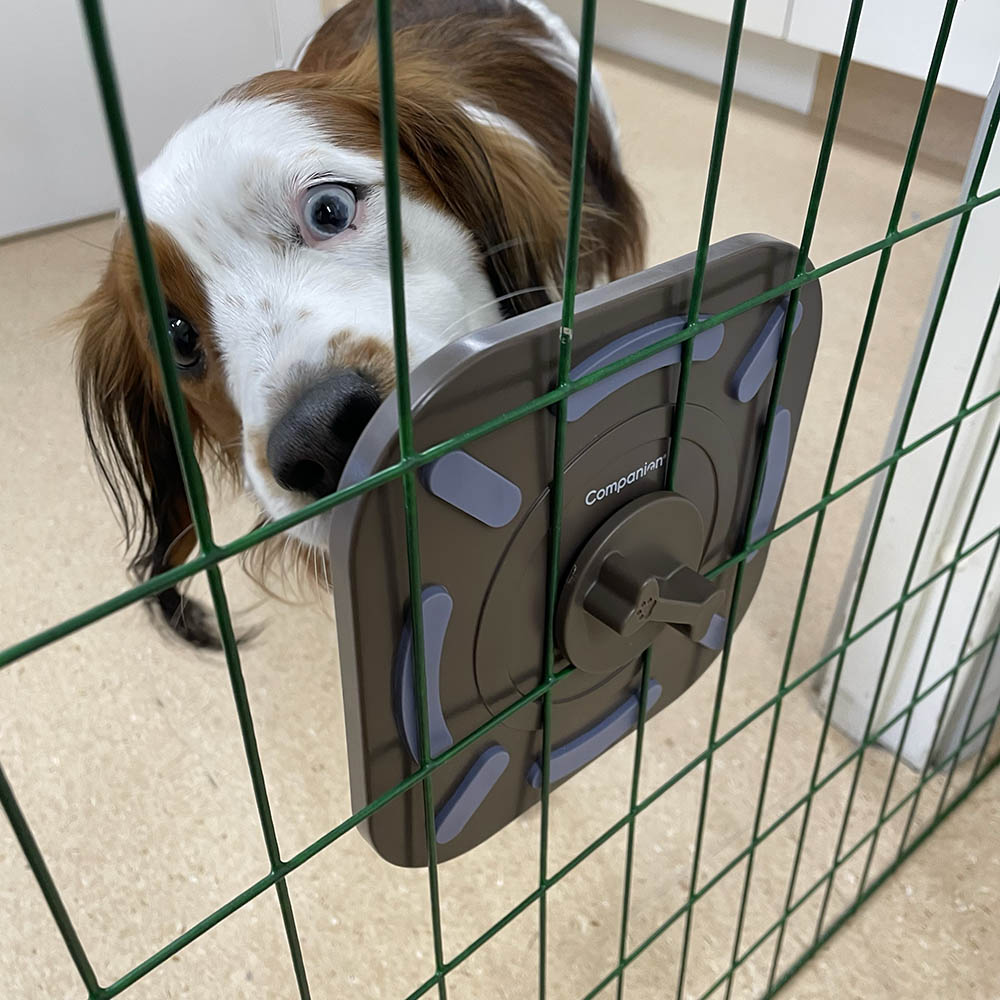 Lick mat to attach to the cage