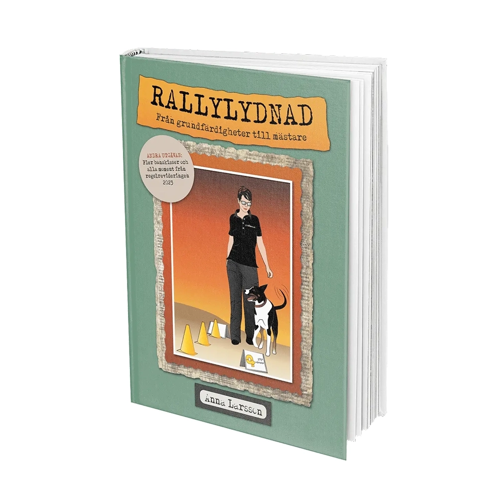 Rallylydnad - från grundfärdigheter till mästare