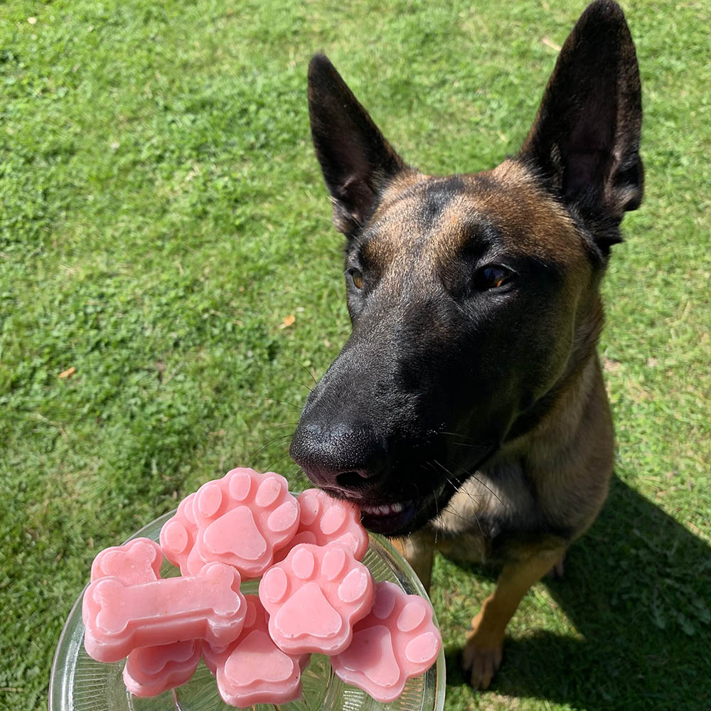 Hundglass som du gör själv