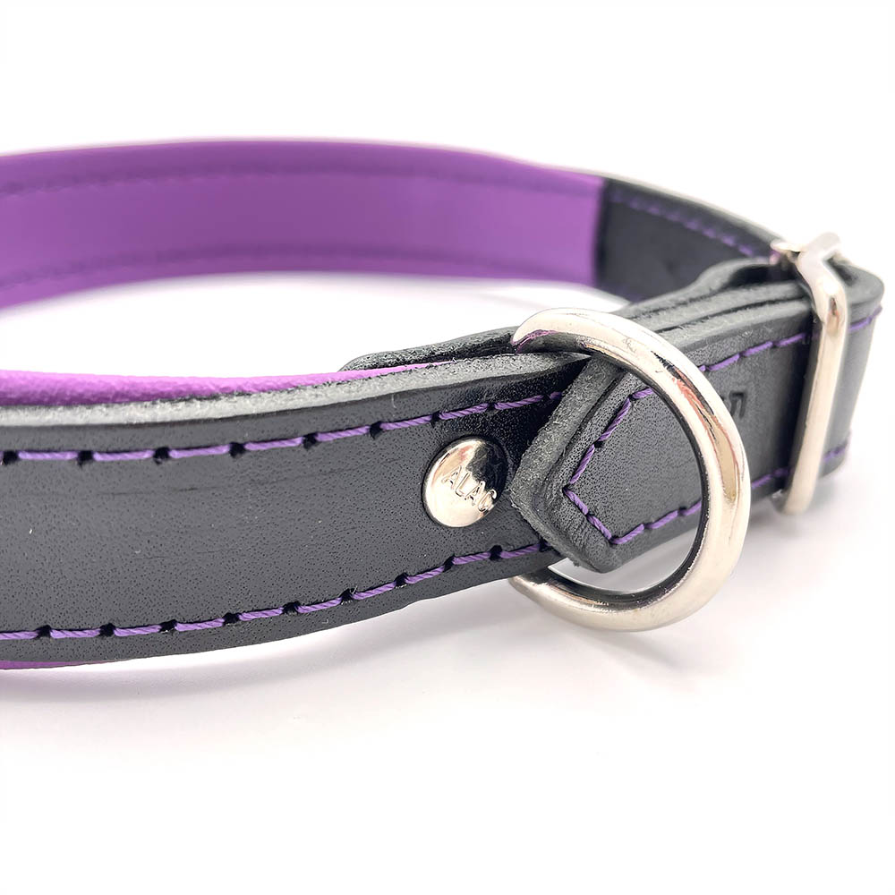 Alac leather collar and leash for large dog breed
